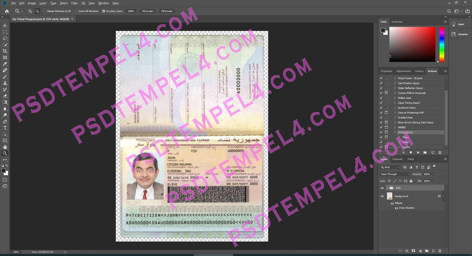 Chad Passport