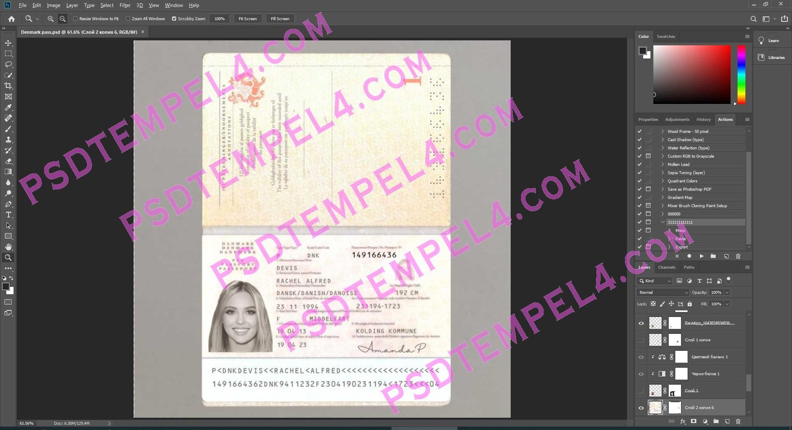 Denmark Passport