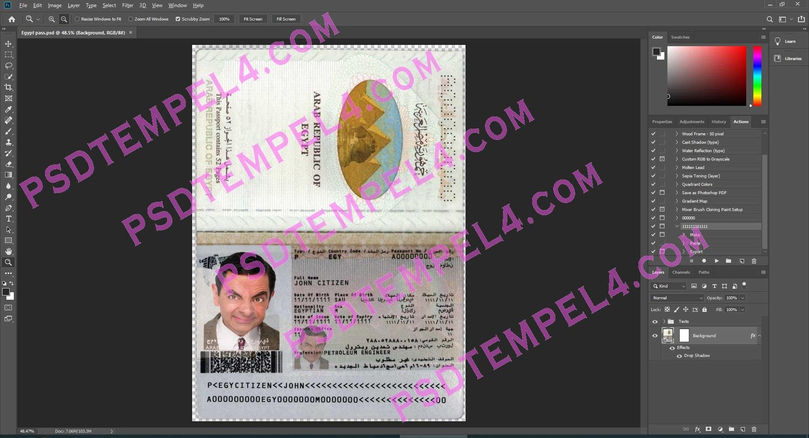 Egypt Passport