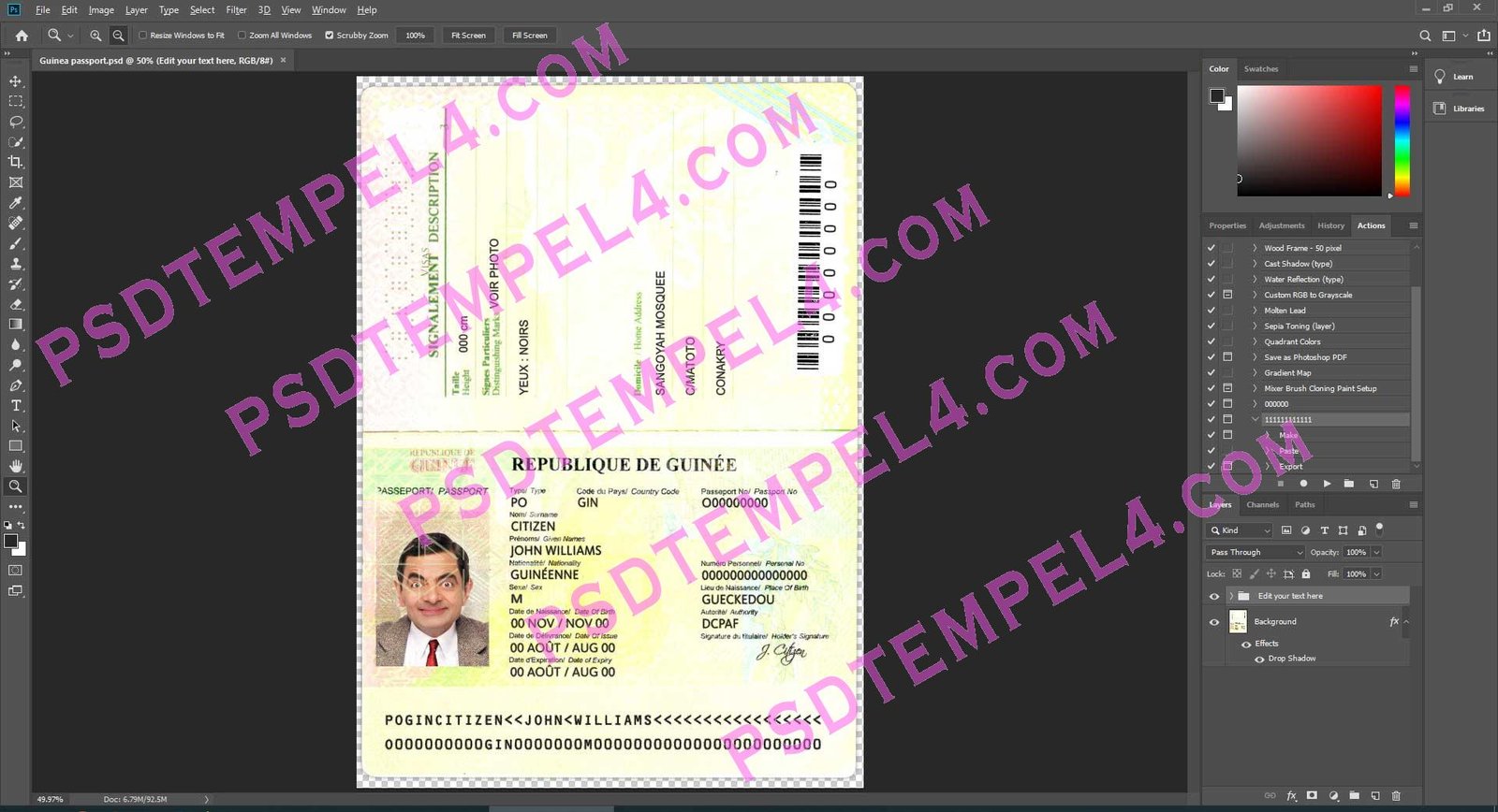 Guinea Passport