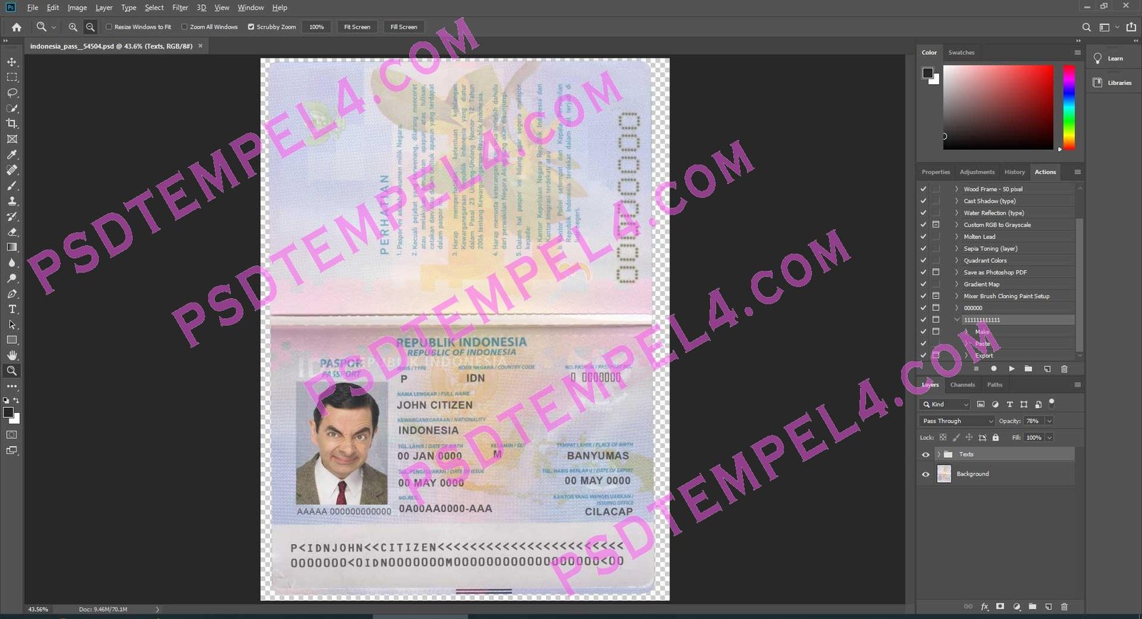 Indonesia Passport