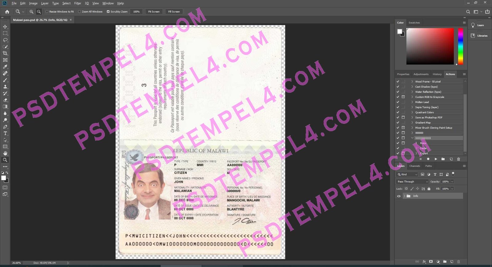 Malawi Passport