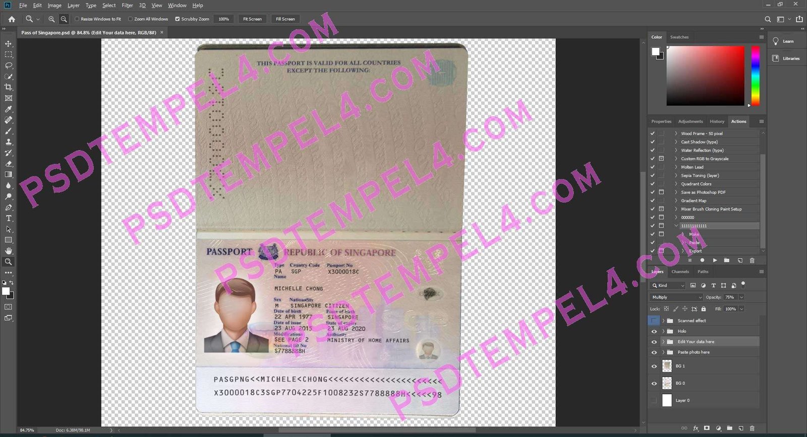 Singapore Passport