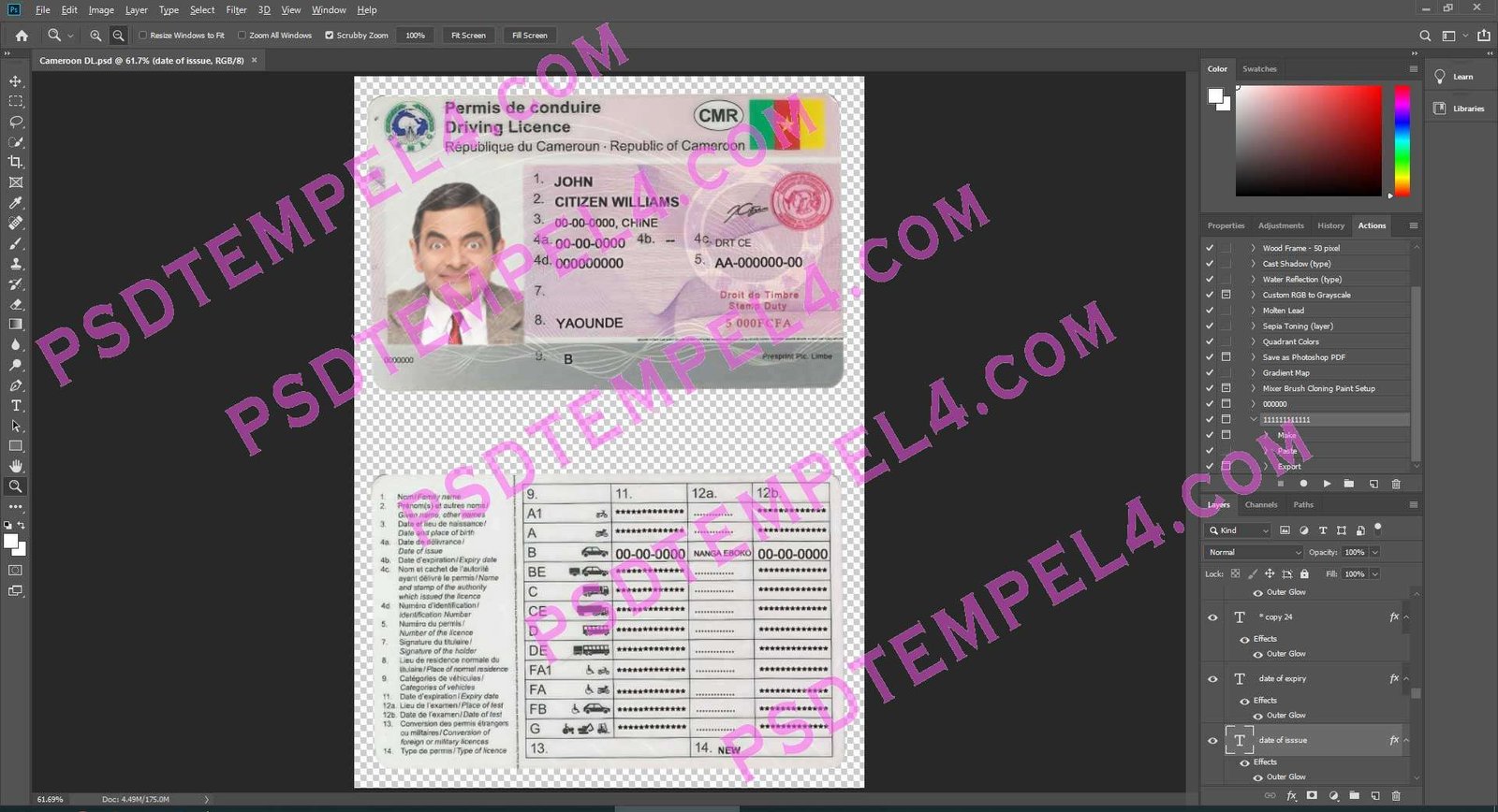 Cameroon Driver License