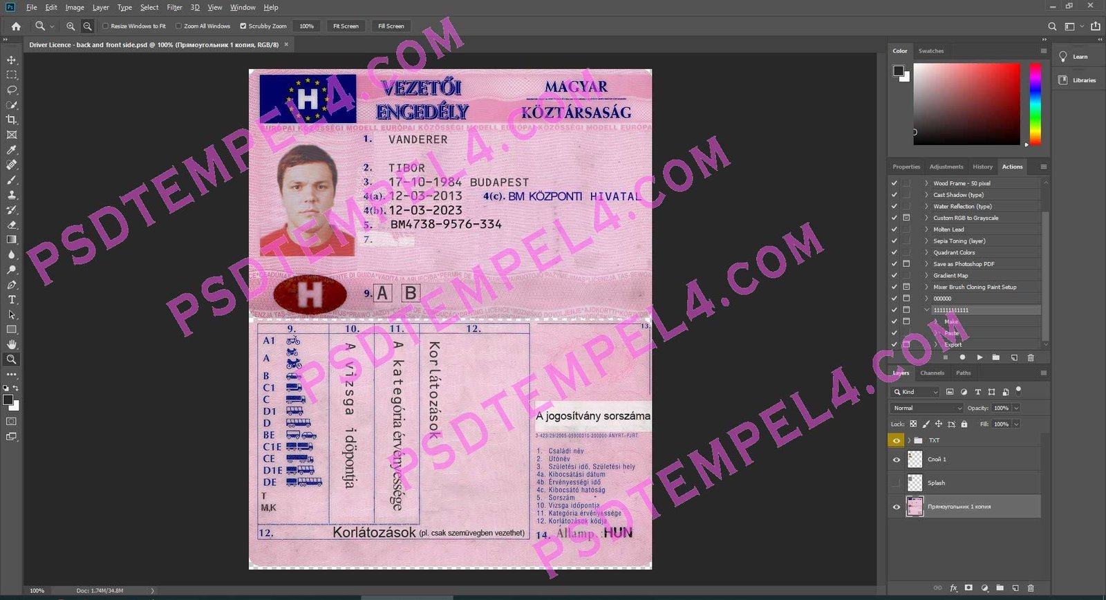 Hungary Driver License