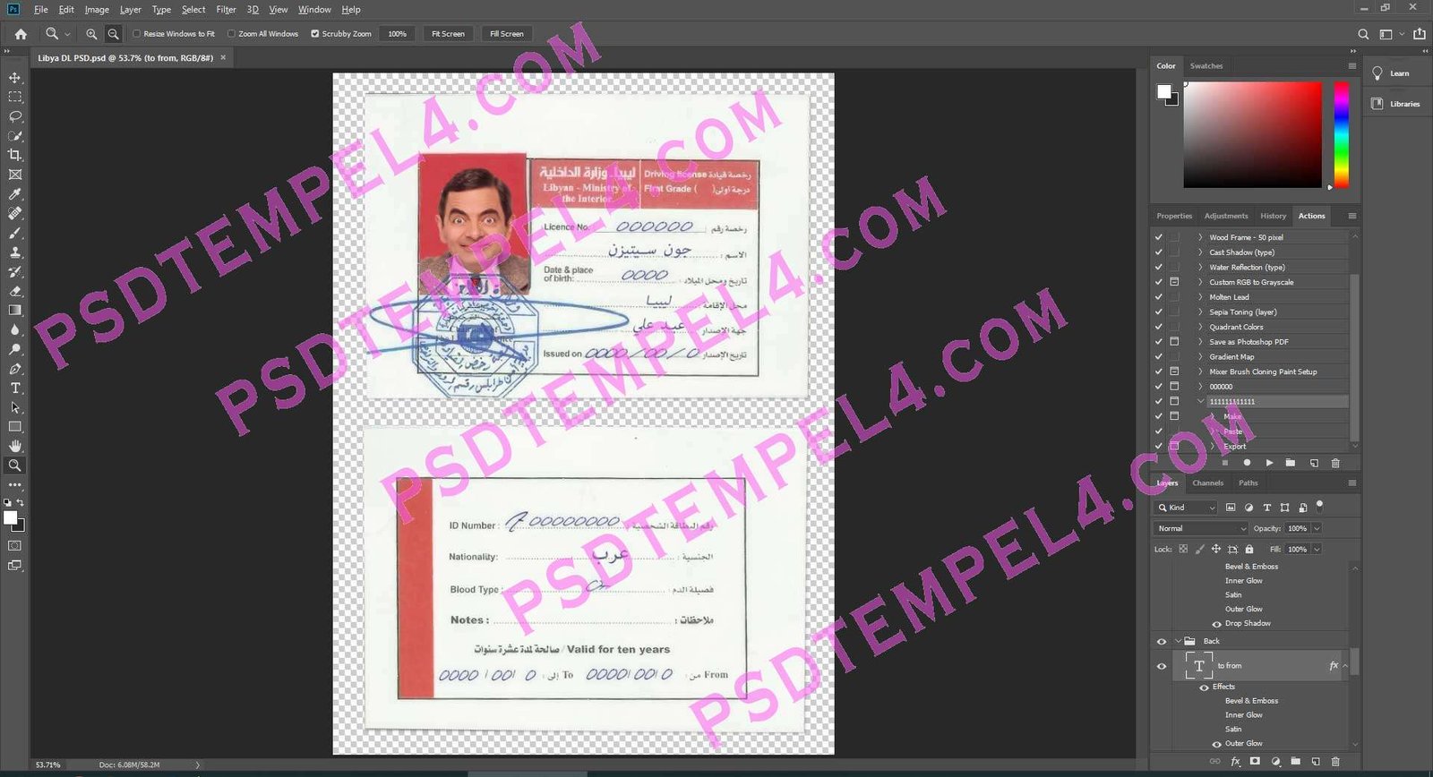 Libya Driver License