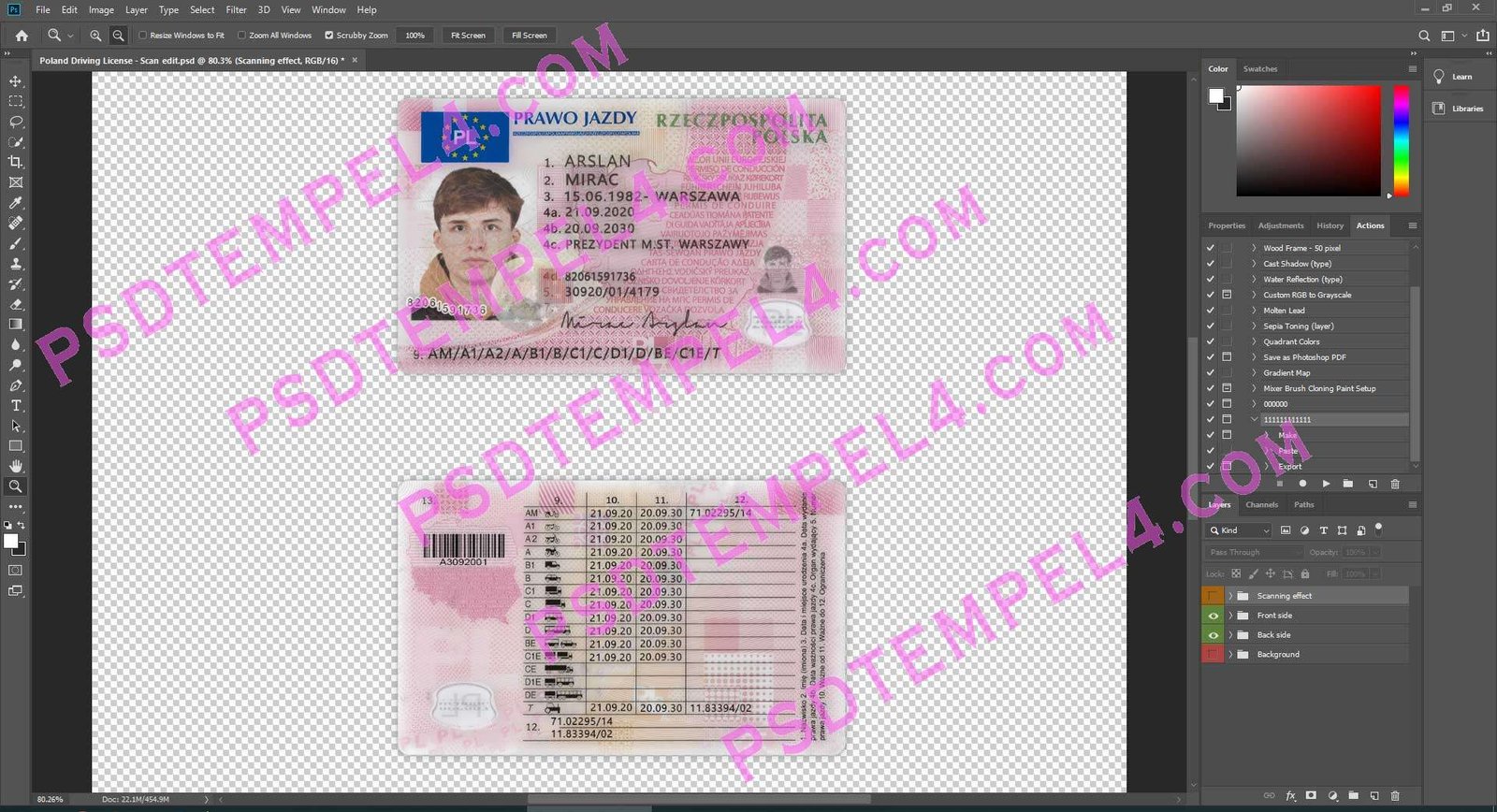Poland Driver License