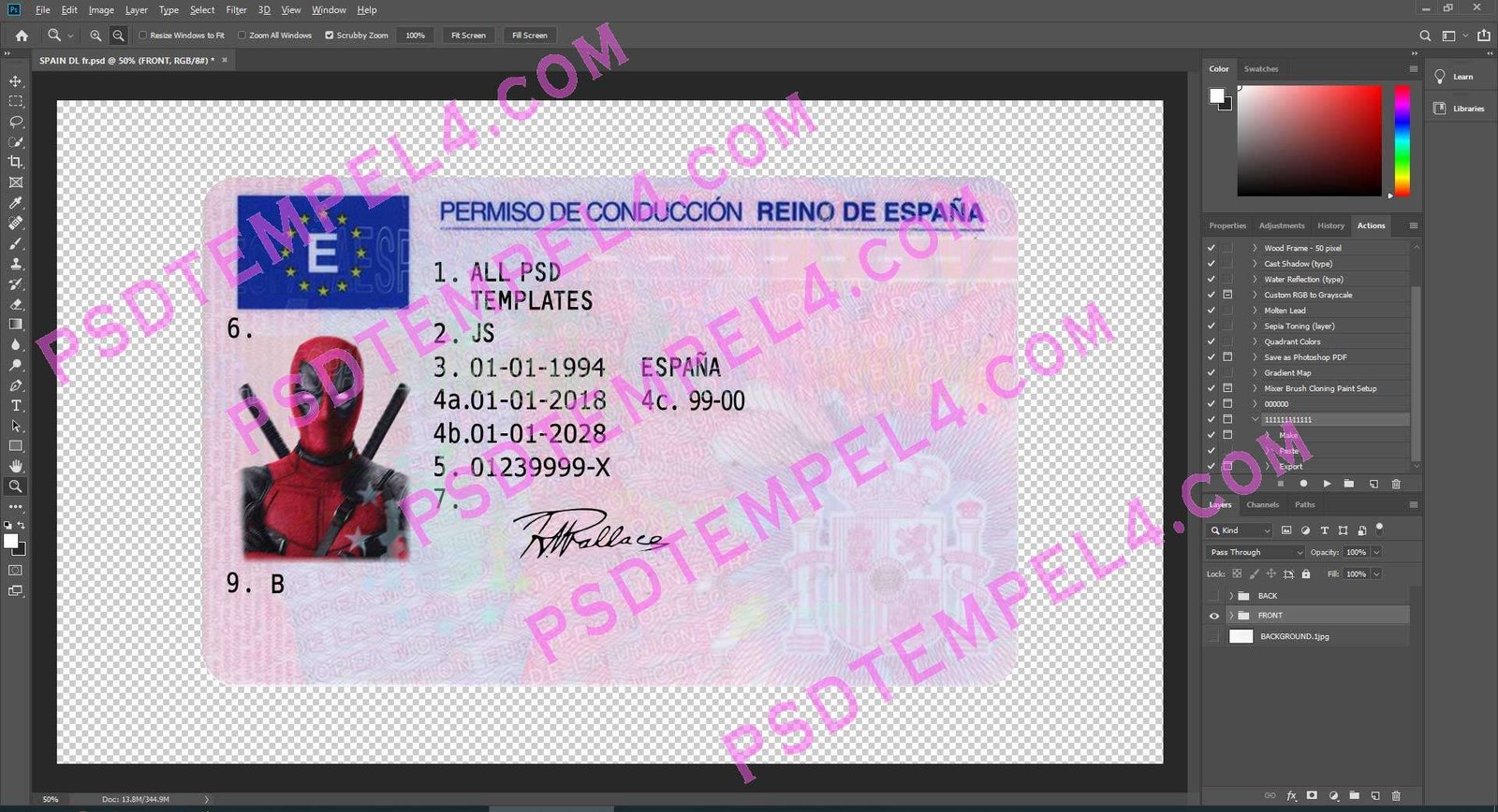 Spain Driver License