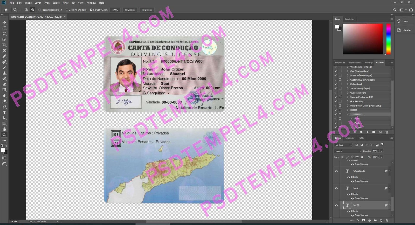 Timor Leste Driver License