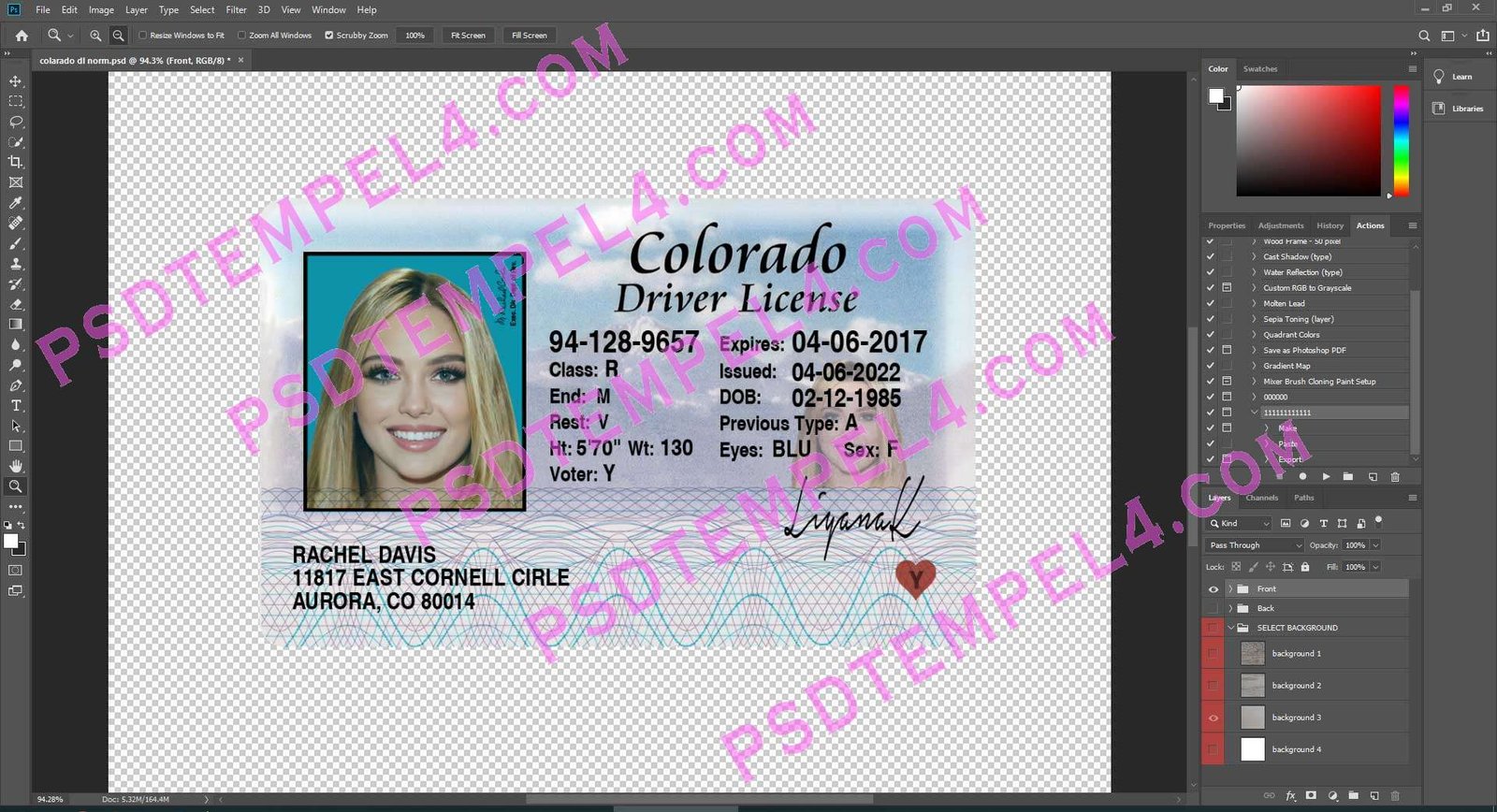 USA Colorado Driver License