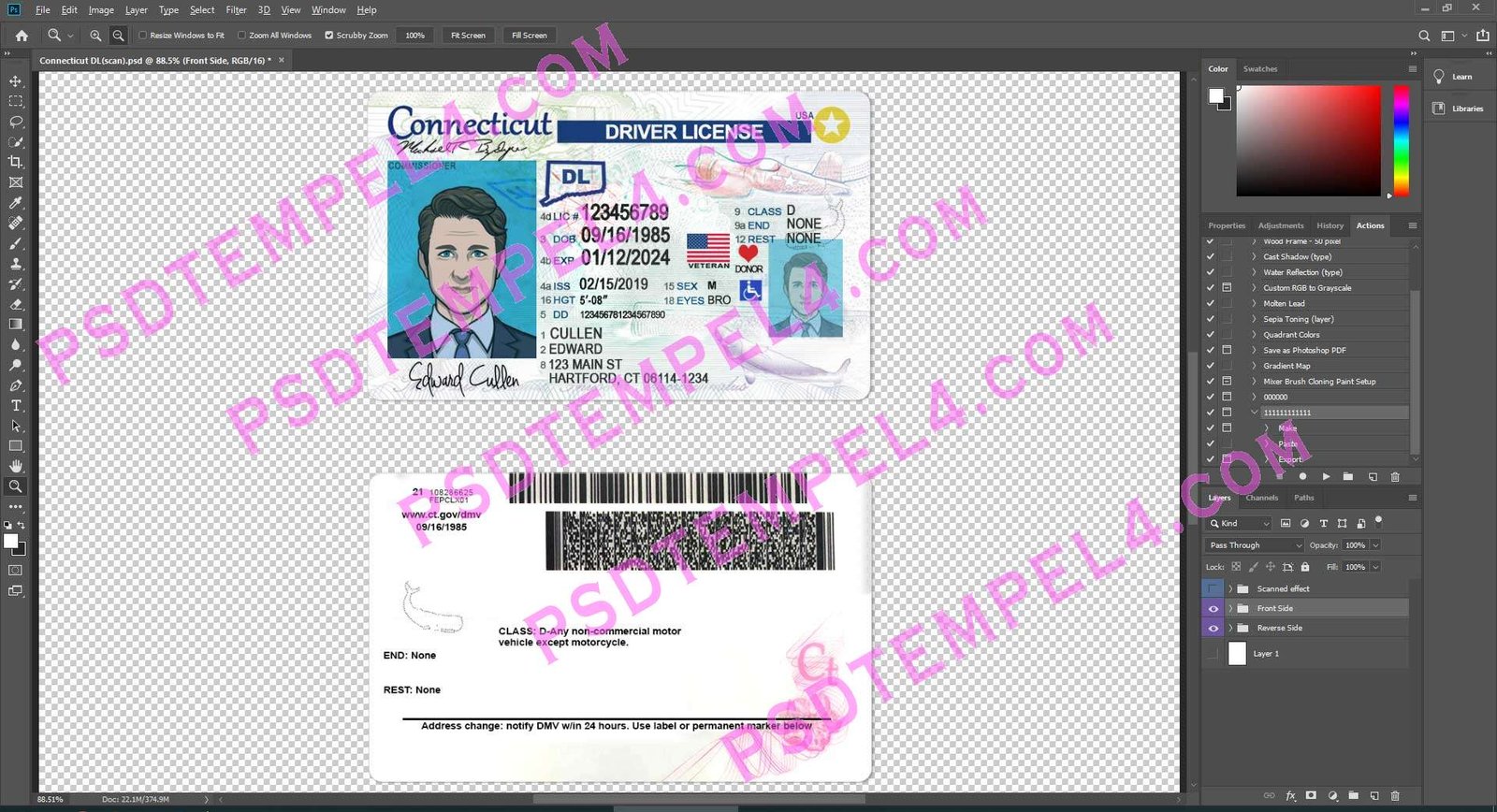 USA Connecticut Driver License