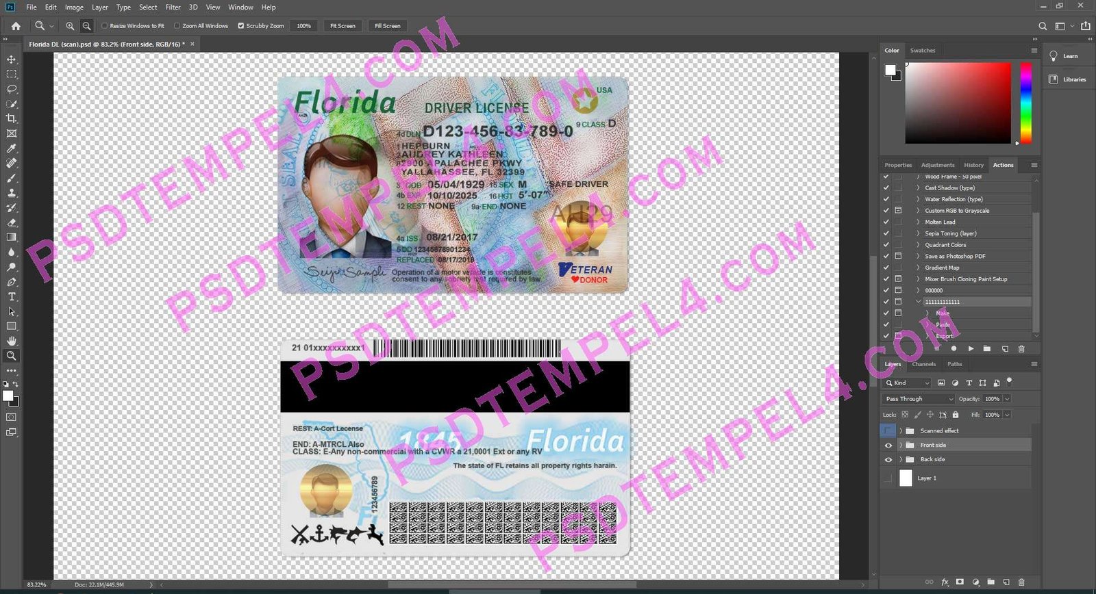 USA Florida Driver License