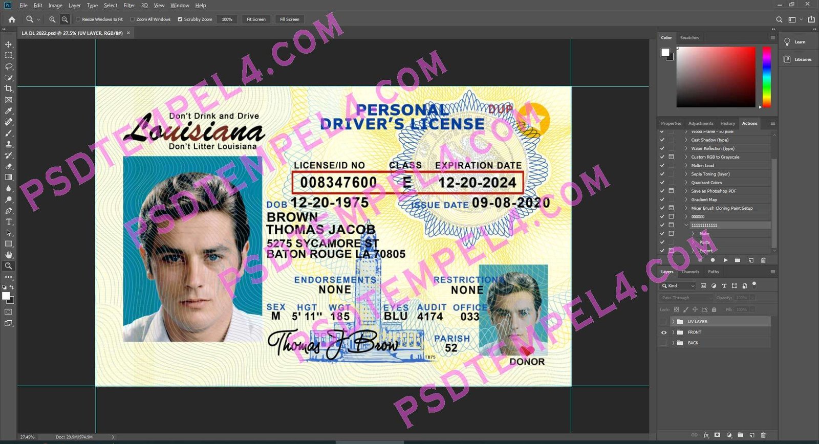 USA Louisiana Driver License