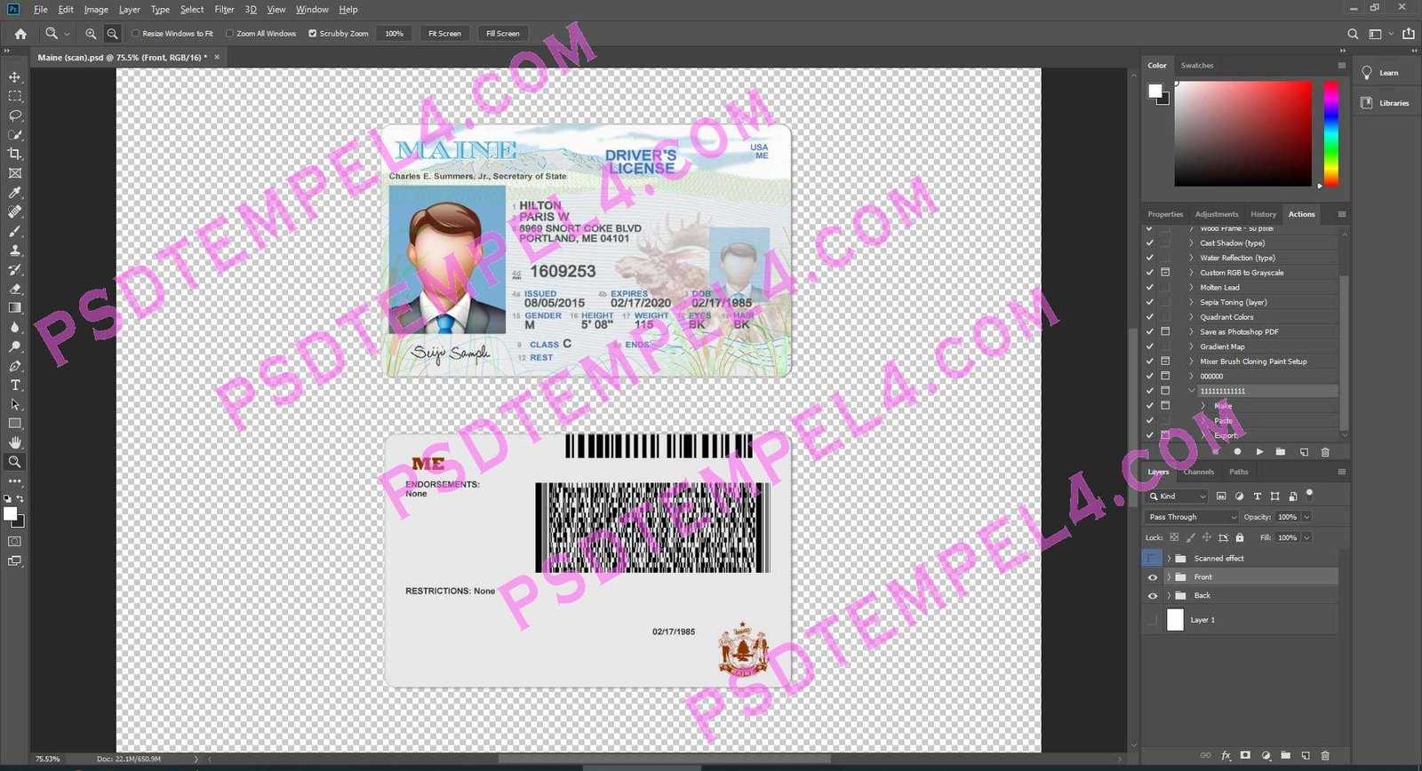 USA Maine Driver License
