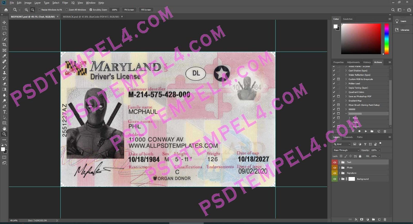 USA Maryland Driver License