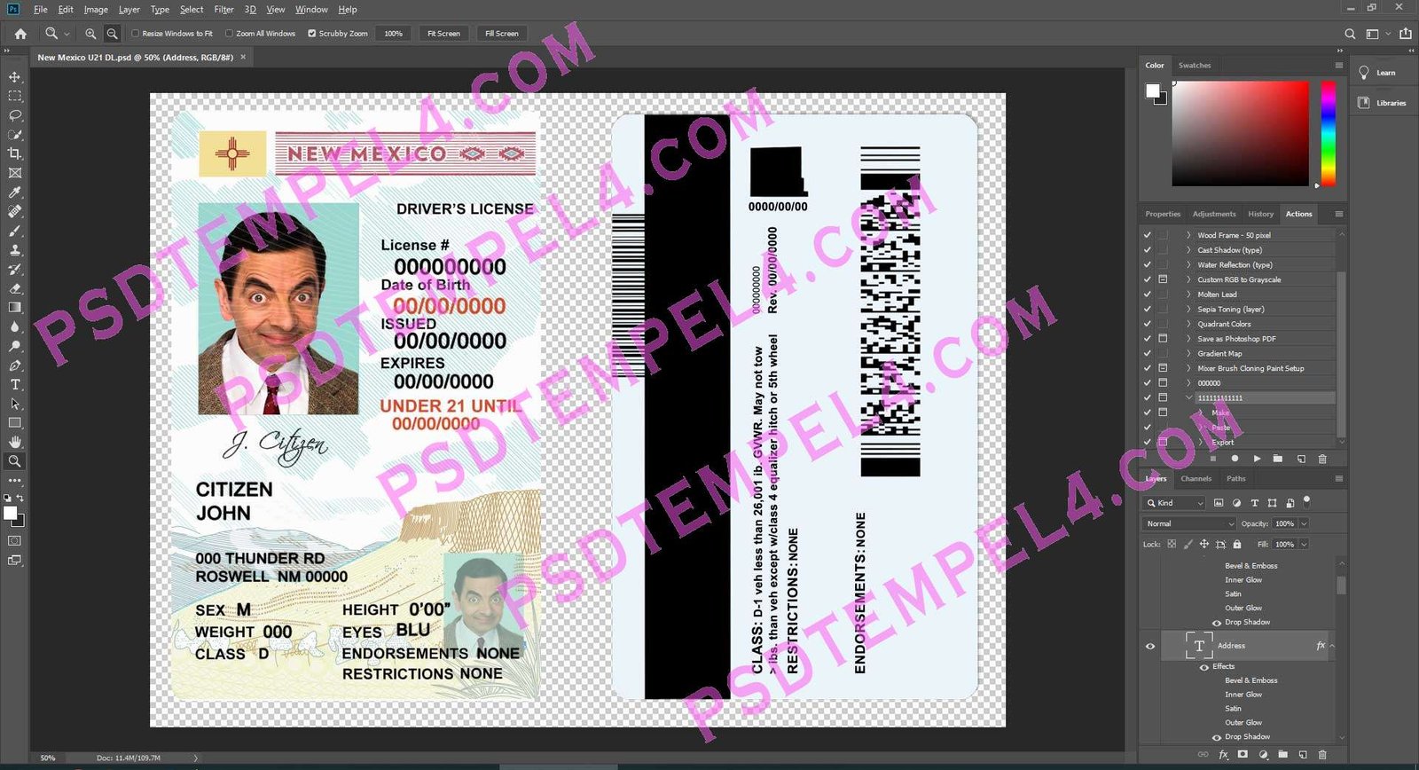 USA New Mexico Driver License