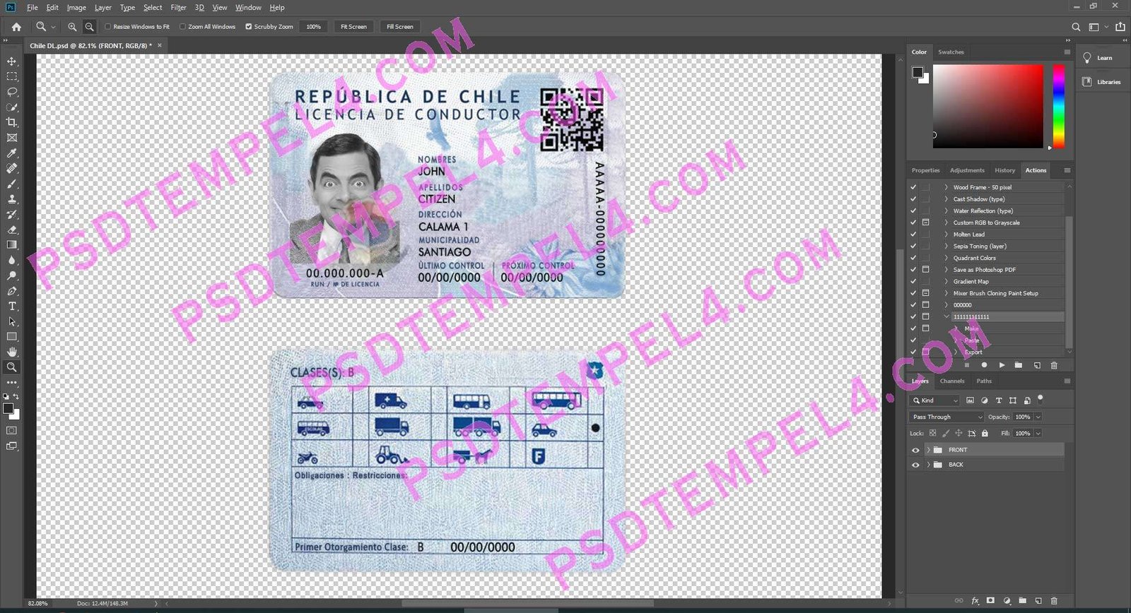 chile Driver License