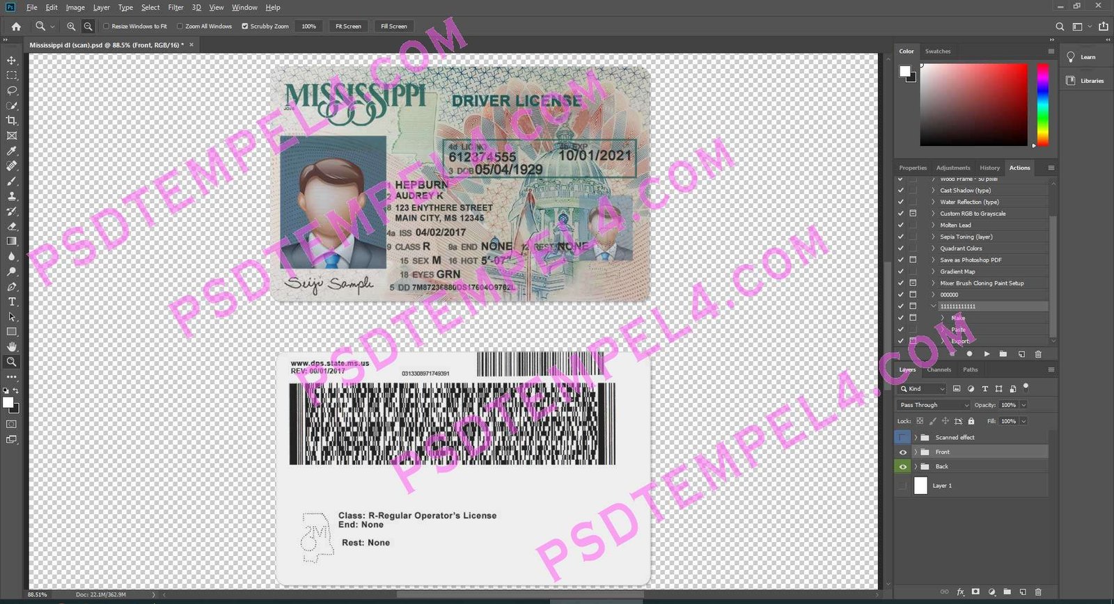 USA Mississippi Driver License