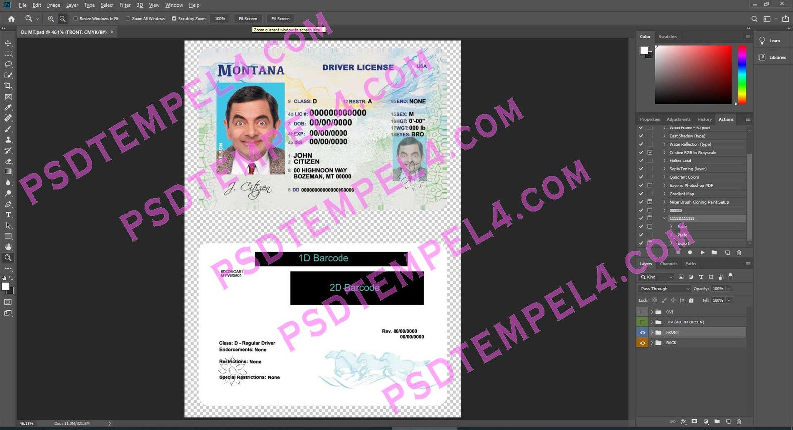USA Montana Driver License
