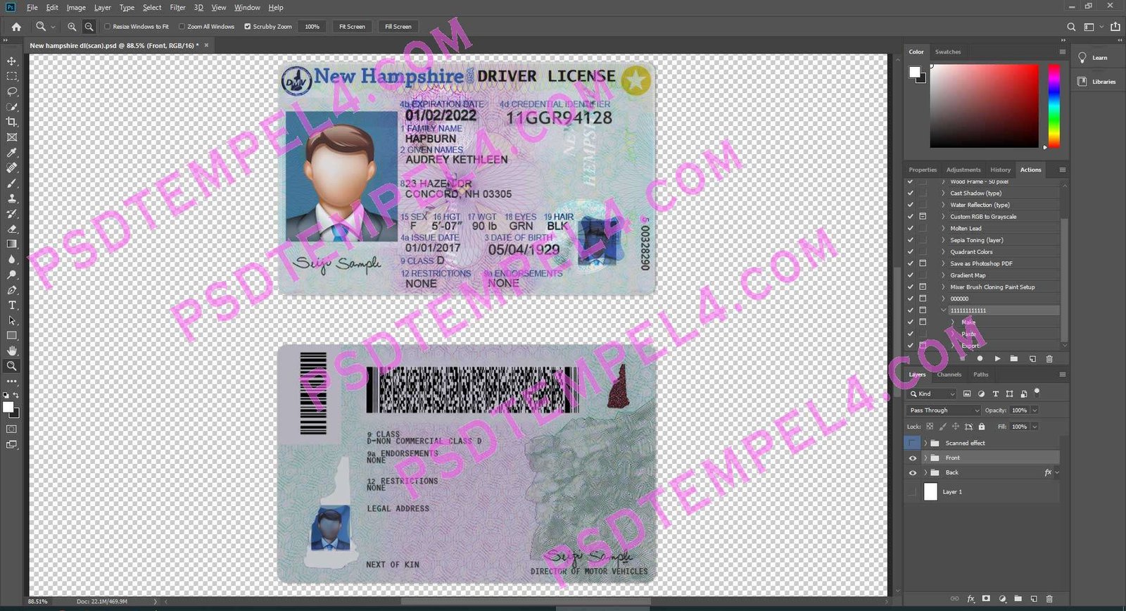 USA New Hampshire Driver License