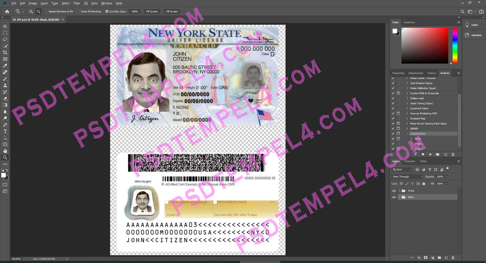 USA New York Driver License
