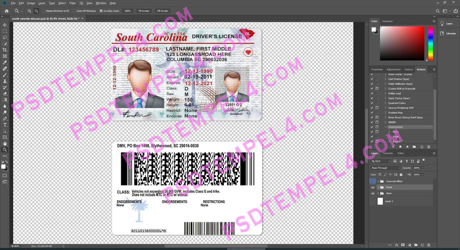 USA South Carolina Driver License