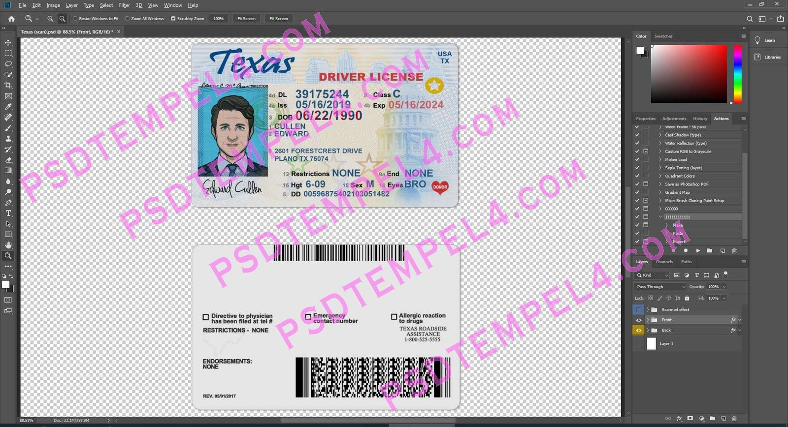 USA Texas Driver License