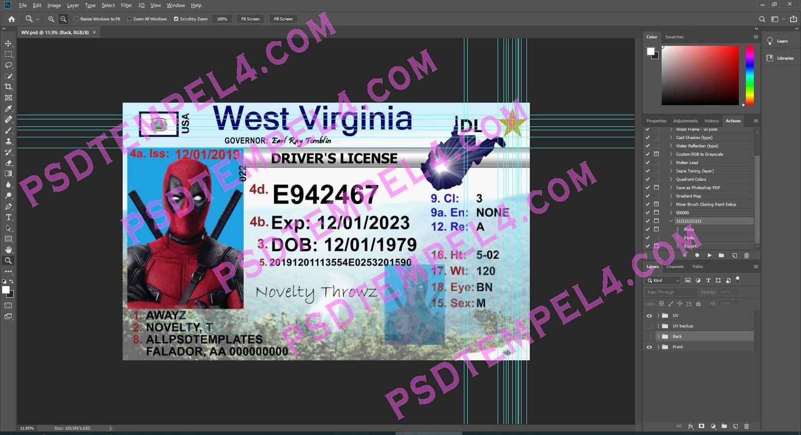 USA West Virginia Driver License