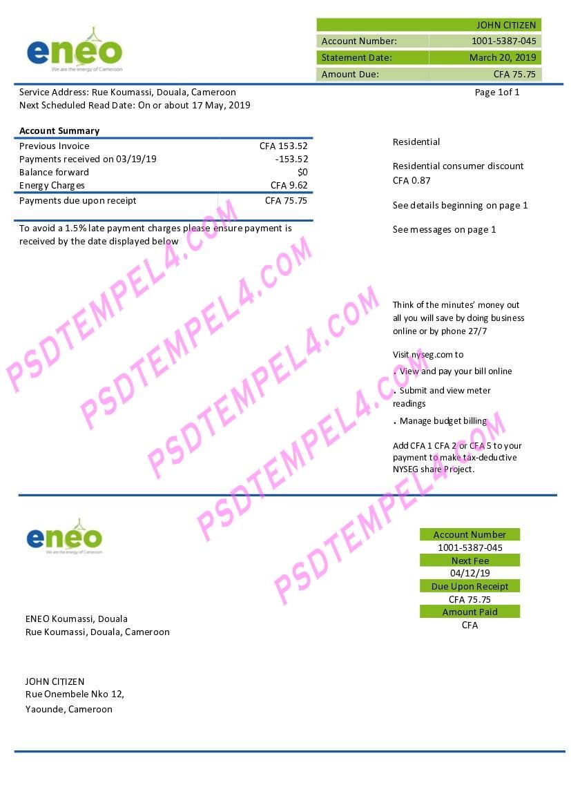 Cameroon ENEO electricity utility bill