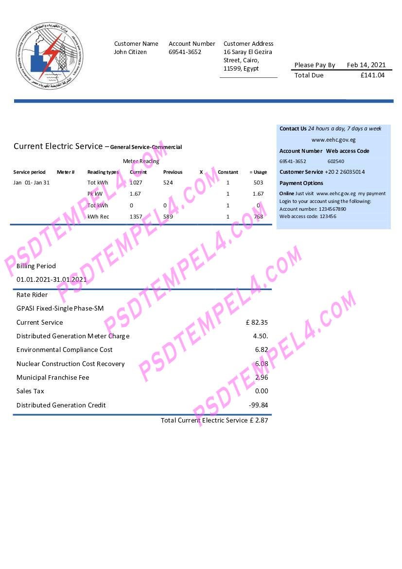Egypt Egyptian Electricity utility bill