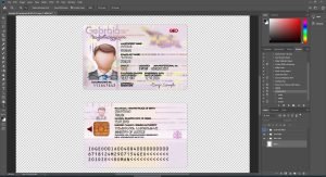 Georgia id card - version 1