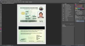Nigeria id card