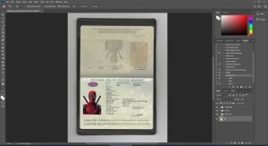 Belgium Passport - version 1