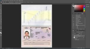 Bosnia and Herzegovina Passport