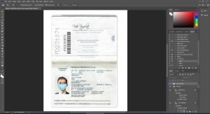 Brasil brazil Passport V1