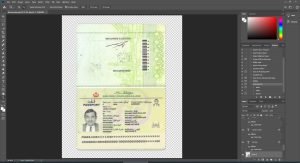 Brunei Passport
