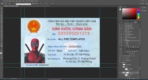 Vietnam id card V1