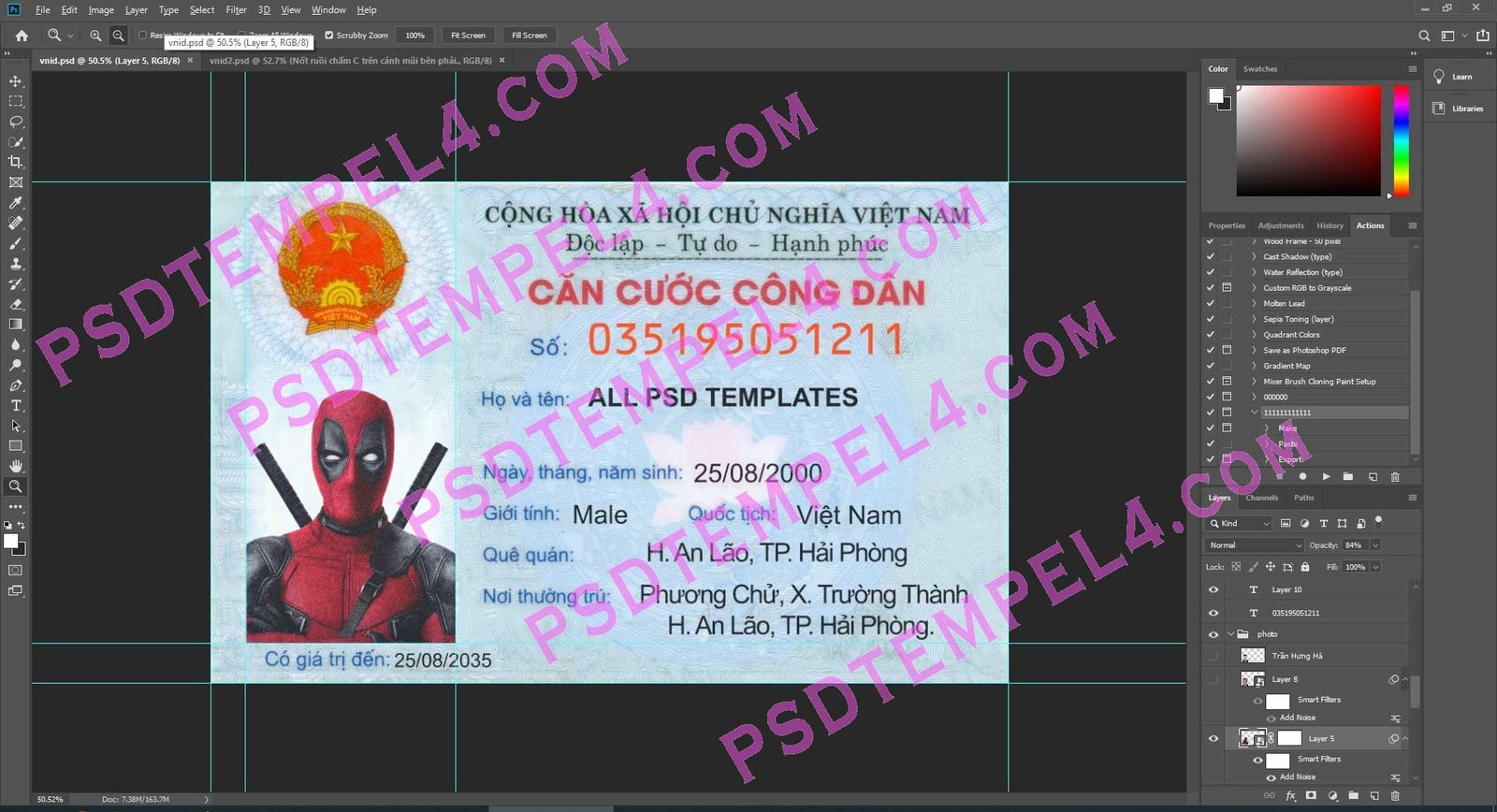 Vietnam id card V1