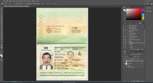 Cameroon Passport