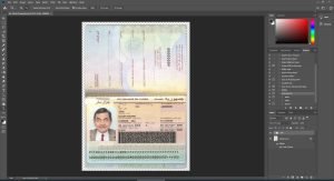 Chad Passport