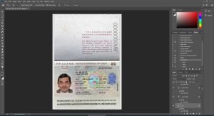 China Passport
