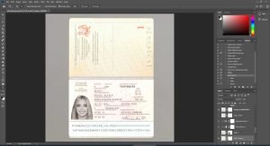 Denmark Passport