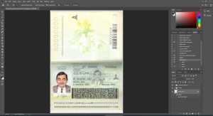 Ecuador Passport