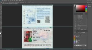 Estonia Passport