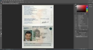 France Passport