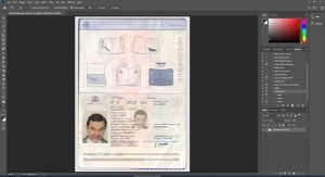 Georgia Passport - 2 version