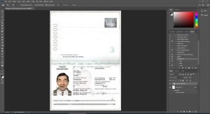 Haiti Passport