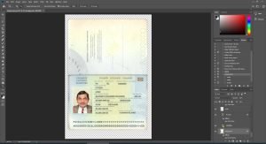 Iceland Passport