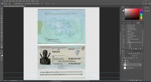 Ireland Passport