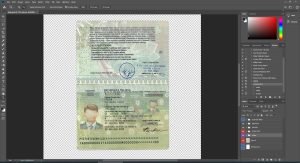 Italy Passport